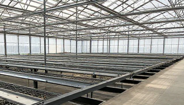 服务器托管选型中的技术架构考量与实际应用分析
